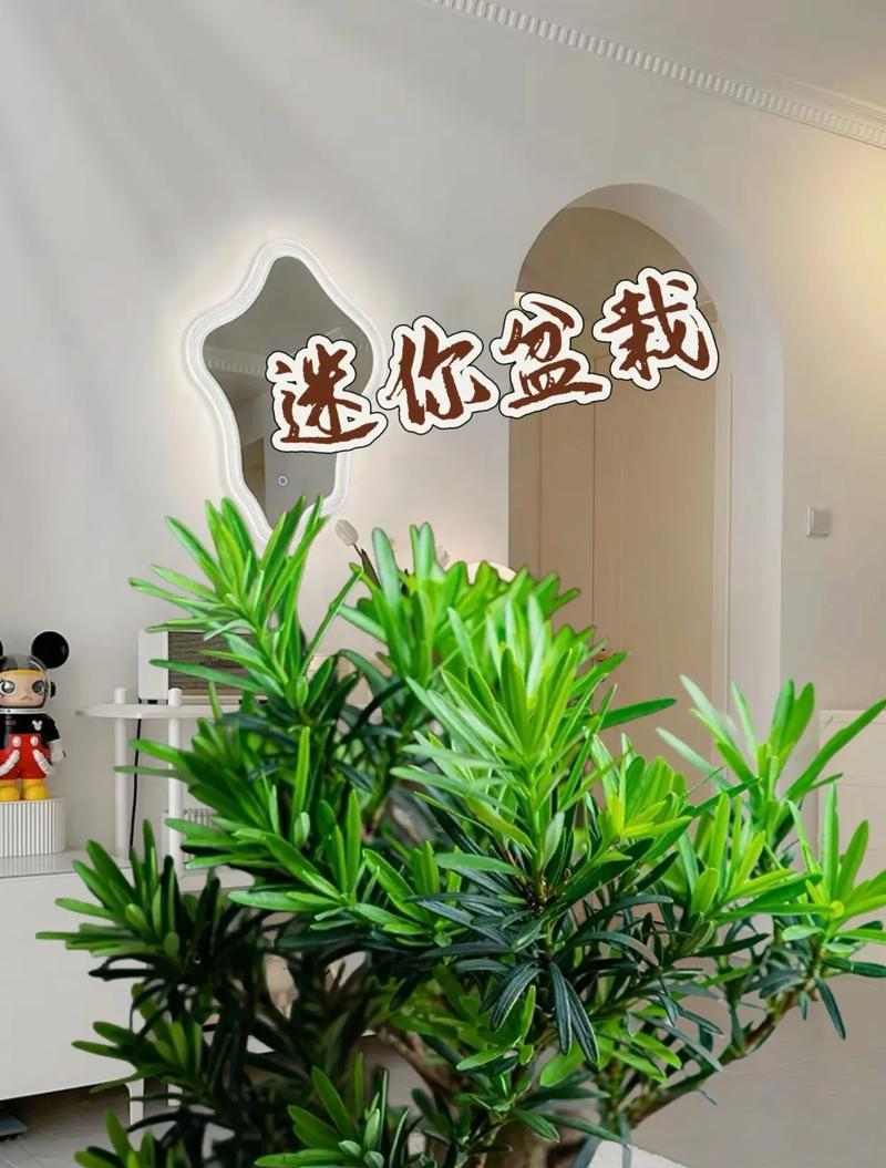 文章详情图片