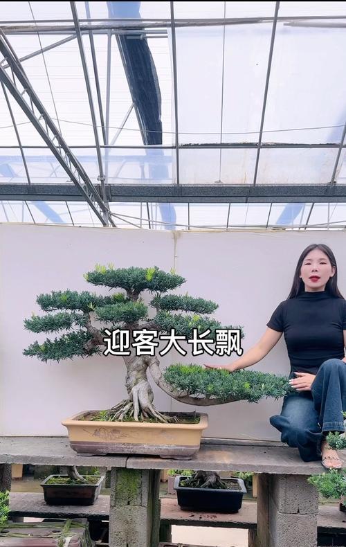 文章详情图片