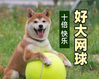 文章详情图片