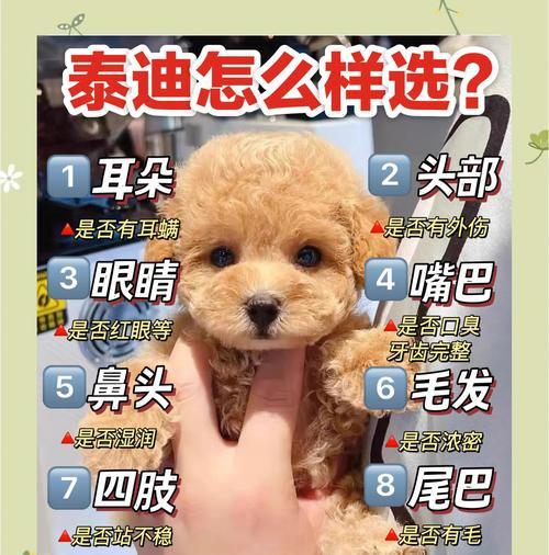 文章详情图片