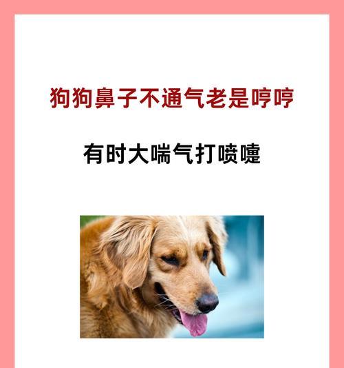 文章详情图片