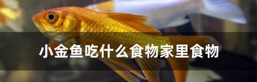 文章详情图片