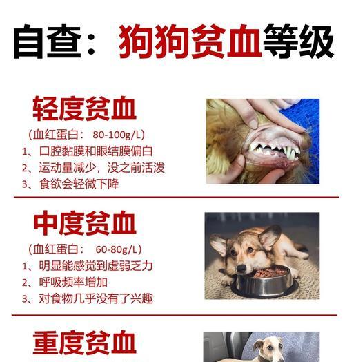 文章详情图片