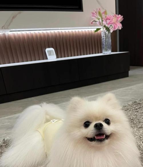 文章详情图片