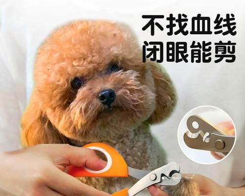 文章详情图片