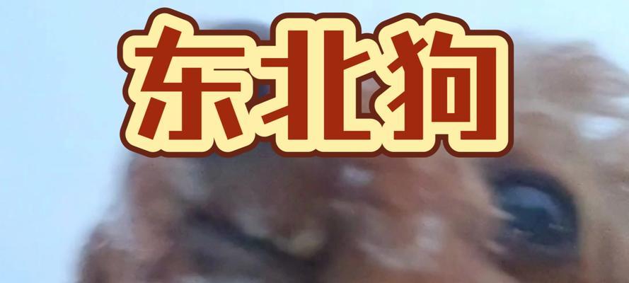 文章详情图片
