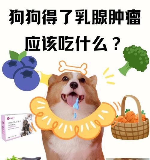 文章详情图片