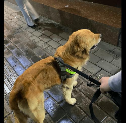 文章详情图片