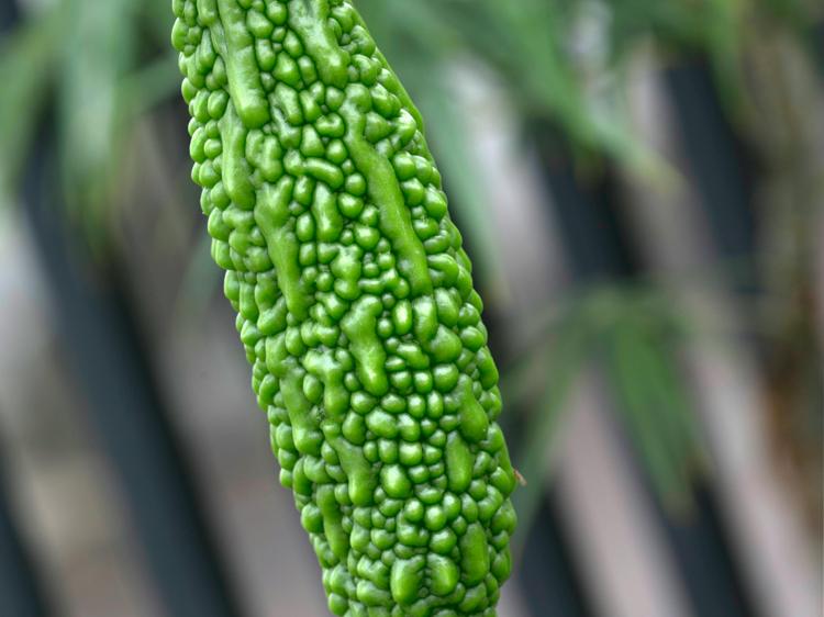 湿热内蕴喉咙不适？3招科学调理帮你缓解