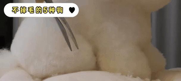 文章详情图片