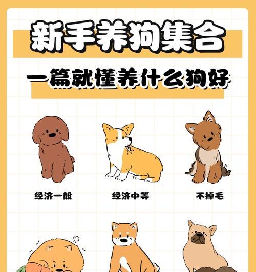文章详情图片