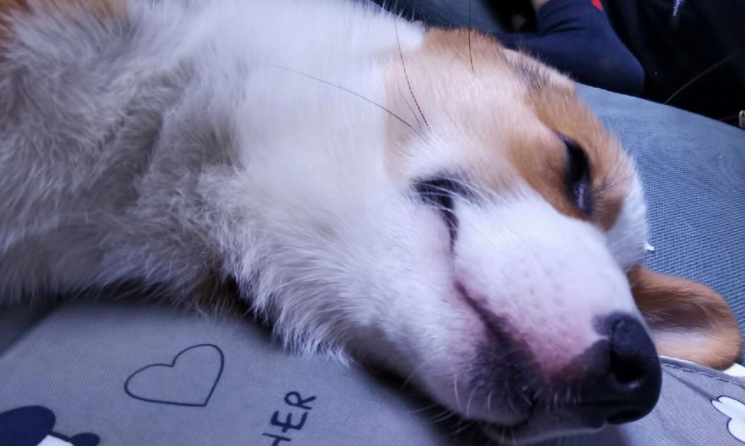 文章详情图片