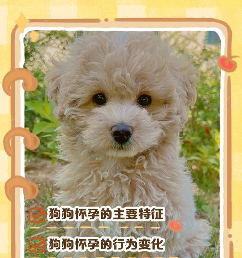 文章详情图片