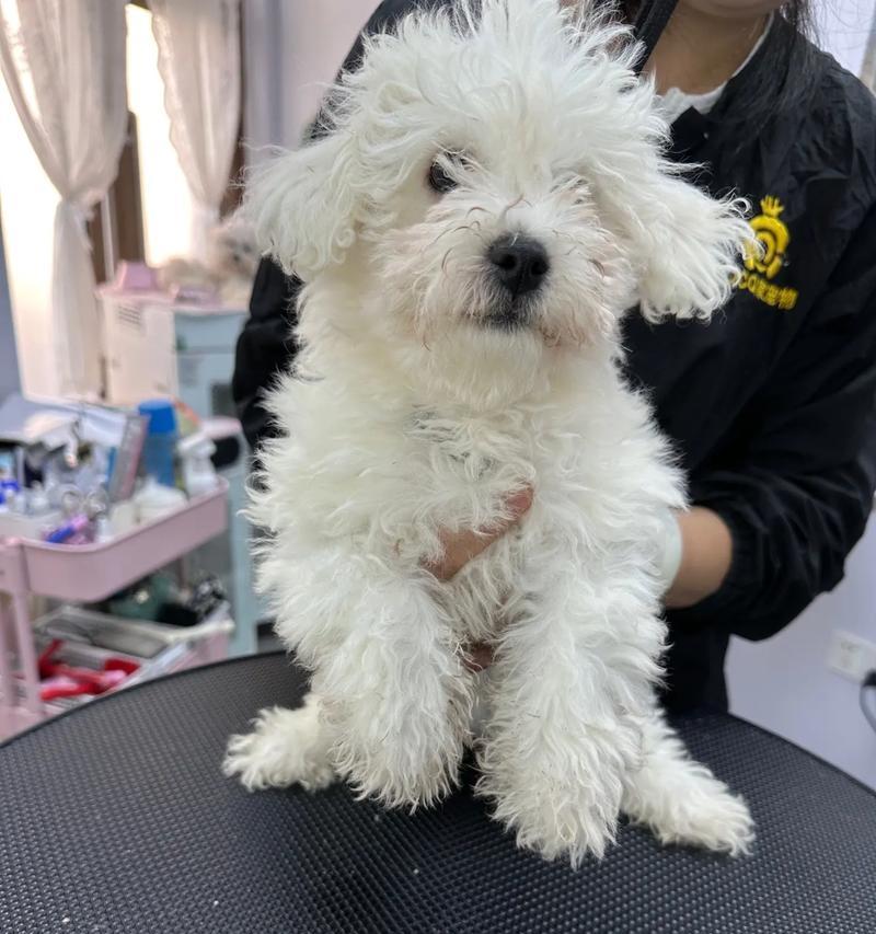 文章详情图片