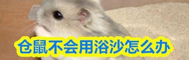 文章详情图片