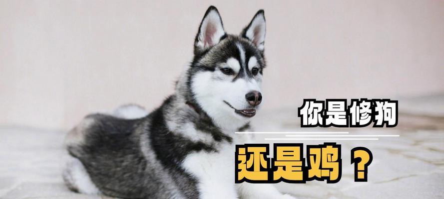 文章详情图片