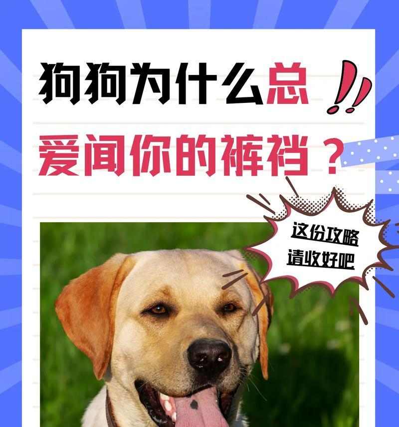 文章详情图片