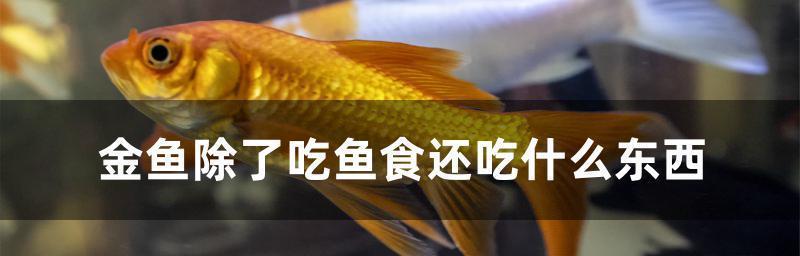 文章详情图片