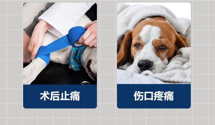 文章详情图片