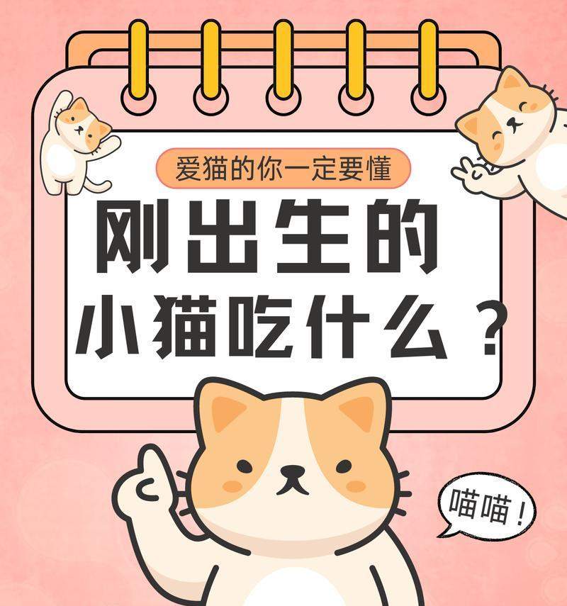 小猫仔的饮食需求与营养均衡（探索小猫仔饮食习惯，让它们健康成长）