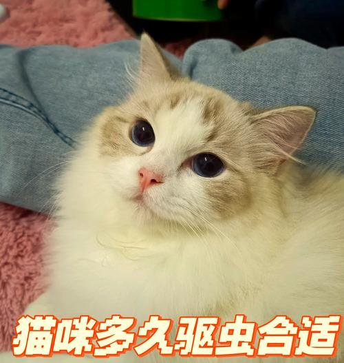 文章详情图片