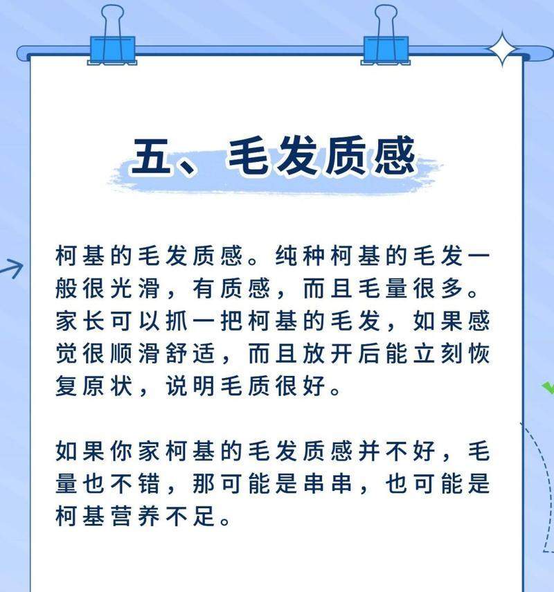文章详情图片