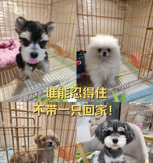 文章详情图片