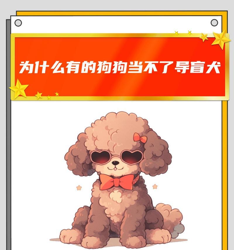 文章详情图片