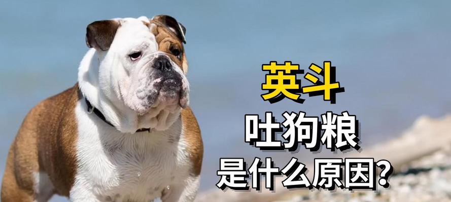 文章详情图片