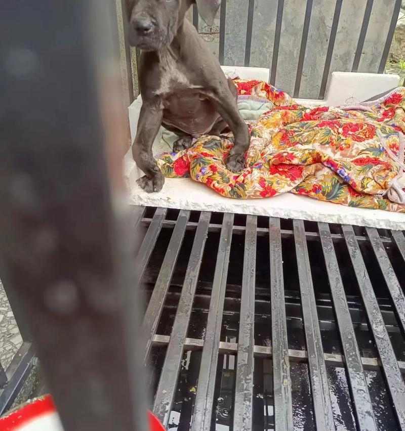 文章详情图片