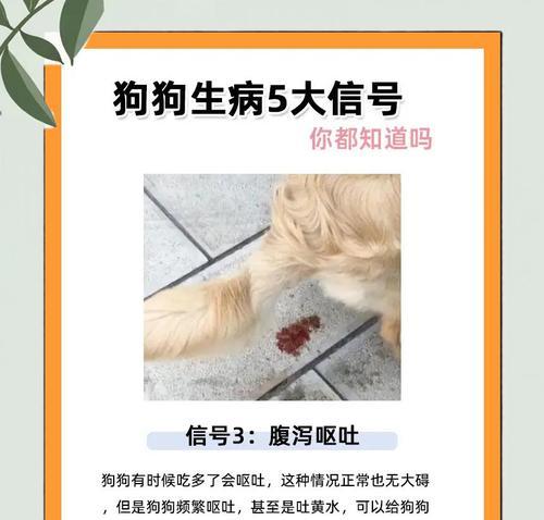 文章详情图片