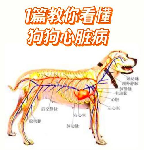 文章详情图片