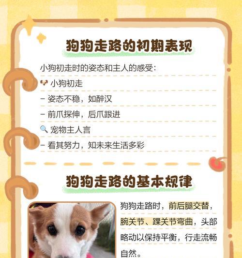 文章详情图片