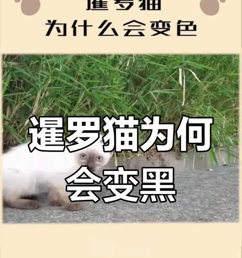 文章详情图片