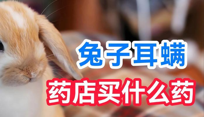 文章详情图片