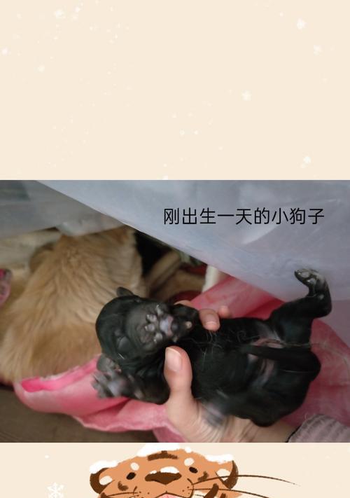 文章详情图片
