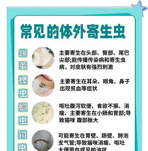 文章详情图片