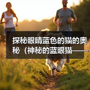 探秘眼睛蓝色的猫的奥秘(神秘的蓝眼猫——源自天然还是遗传?)(图4) 探秘眼睛蓝色的猫的奥秘(神秘的蓝眼猫——源自天然还是遗传?)(图4)