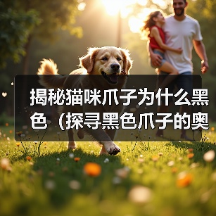 揭秘猫咪爪子为什么黑色(探寻黑色爪子的奥秘与功能)(图4) 揭秘猫咪爪子为什么黑色(探寻黑色爪子的奥秘与功能)(图4)