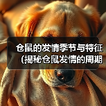 仓鼠的发情季节与特征(揭秘仓鼠发情的周期、行为和繁殖方式)(图2) 仓鼠的发情季节与特征(揭秘仓鼠发情的周期、行为和繁殖方式)(图2)