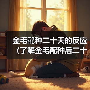 金毛配种二十天的反应(了解金毛配种后二十天的反应及其)(图1) 金毛配种二十天的反应(了解金毛配种后二十天的反应及其)(图1)
