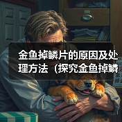 金鱼掉鳞片的原因及处理方法(探究金鱼掉鳞片的成因与解决方案)(图4) 金鱼掉鳞片的原因及处理方法(探究金鱼掉鳞片的成因与解决方案)(图4)