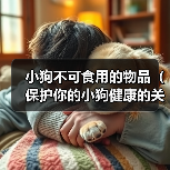小狗不可食用的物品(保护你的小狗健康的关键)(图1) 小狗不可食用的物品(保护你的小狗健康的关键)(图1)