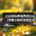 小虾的饲养与养活方法(探索小虾的食物及合理饲养方法)(图3) 小虾的饲养与养活方法(探索小虾的食物及合理饲养方法)(图3)