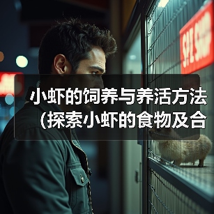 小虾的饲养与养活方法(探索小虾的食物及合理饲养方法)(图4) 小虾的饲养与养活方法(探索小虾的食物及合理饲养方法)(图4)