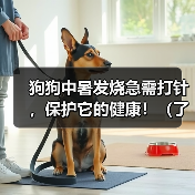 狗狗中暑发烧急需打针,保护它的健康!(了解狗狗中暑发烧的原因和应对措施,即刻行动!)(图1) 狗狗中暑发烧急需打针,保护它的健康!(了解狗狗中暑发烧的原因和应对措施,即刻行动!)(图1)