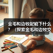 金毛和边牧配能下什么?(探索金毛和边牧交配的可能性及后代特点)(图2) 金毛和边牧配能下什么?(探索金毛和边牧交配的可能性及后代特点)(图2)