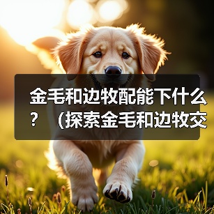 金毛和边牧配能下什么?(探索金毛和边牧交配的可能性及后代特点)(图3) 金毛和边牧配能下什么?(探索金毛和边牧交配的可能性及后代特点)(图3)