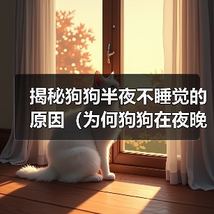 揭秘狗狗半夜不睡觉的原因(为何狗狗在夜晚失眠不安?解读狗狗夜间行为谜团)(图4) 揭秘狗狗半夜不睡觉的原因(为何狗狗在夜晚失眠不安?解读狗狗夜间行为谜团)(图4)