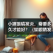 小猫眼睛发炎，需要多久才能好？（猫眼睛发炎的原因、症状和治疗方法及预防）